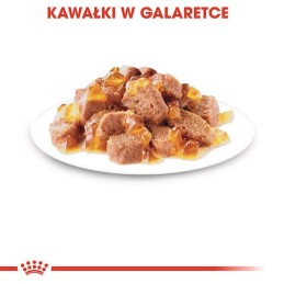 Royal Canin, kot, Instinctive Jelly, saszetka 85 g