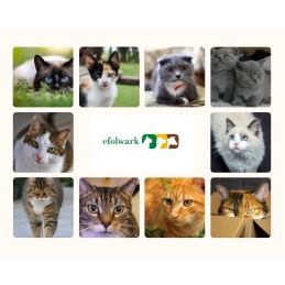 Kitten Instinctive, pełnoporcjowa karma dla kociąt od 4 do 12 miesiąca, saszetka 85 g