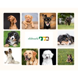 O'canis, karma dla psów, pieczona z dzikiem, 10 kg