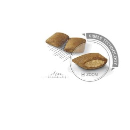 Royal Canin, pies, Mini Exigent, 1 kg