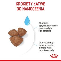 Royal Canin, Mini Starter Mother & Babydog, 4 kg