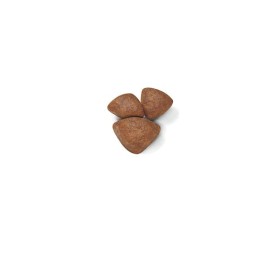 Royal Canin, Mini Starter Mother & Babydog, 4 kg