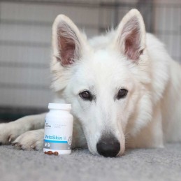 Vetexpert, Vetoskin, preparat na skórę i sierść dla psów i kotów, 90 tab