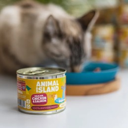 Animal Island, kot, kurczak i łosoś, 200g